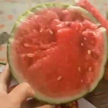 美都西瓜