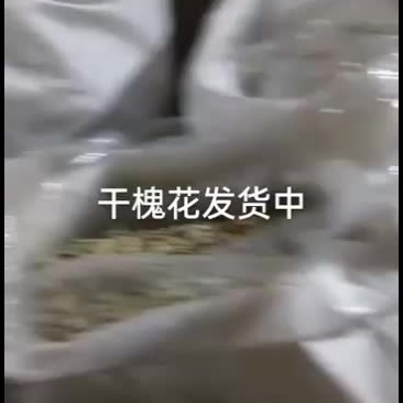 脱水槐花