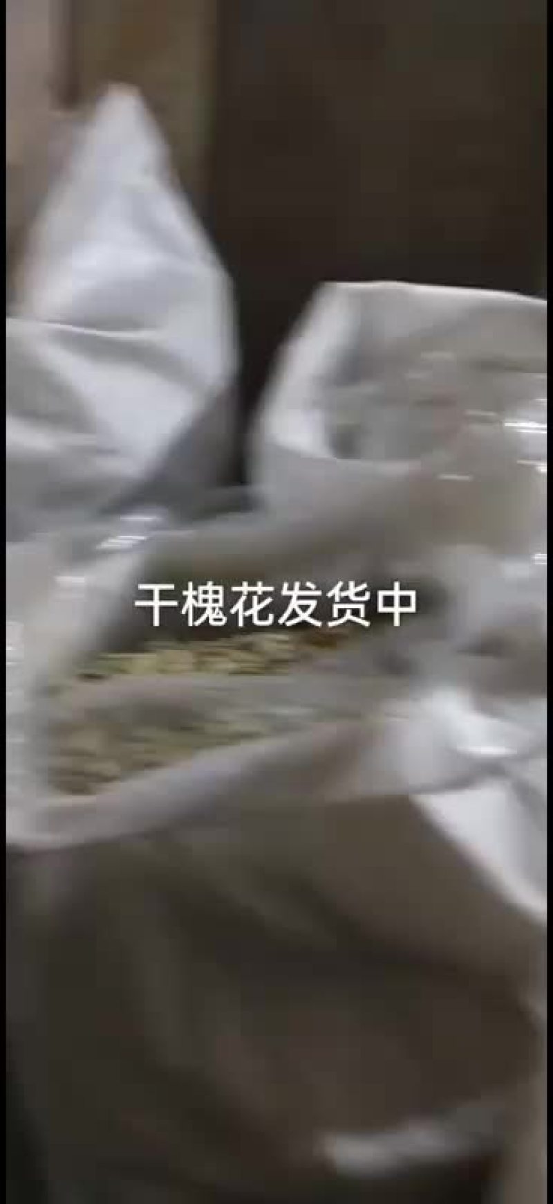 脱水槐花