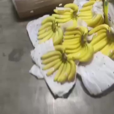 精品香蕉