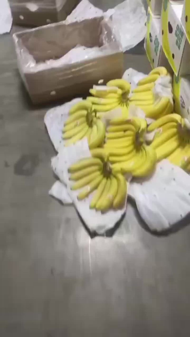 精品香蕉