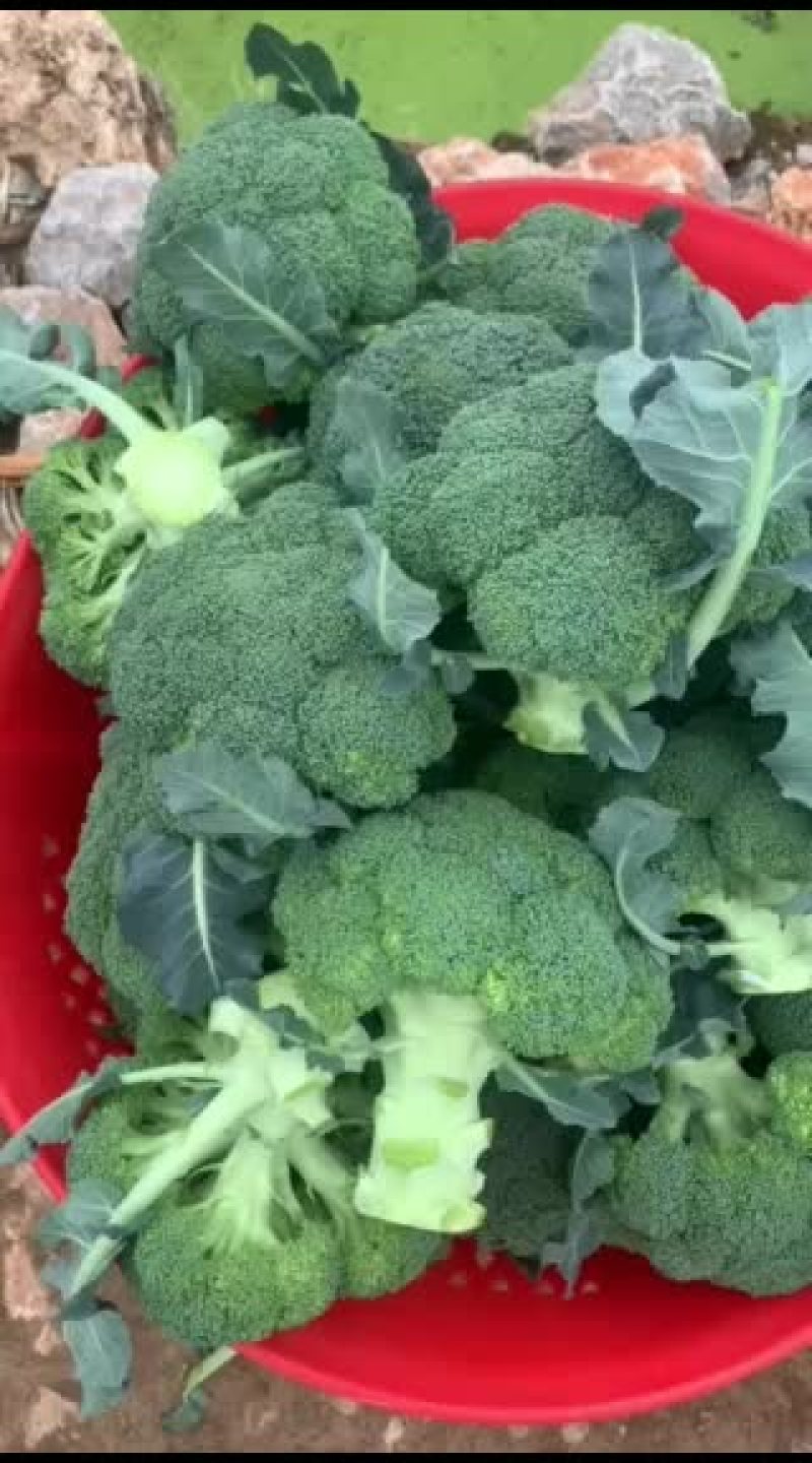 西兰花