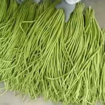 豆角豇豆长豆角