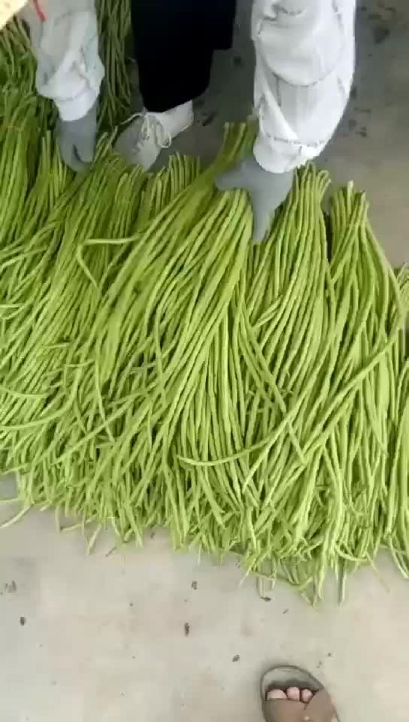 豆角豇豆长豆角