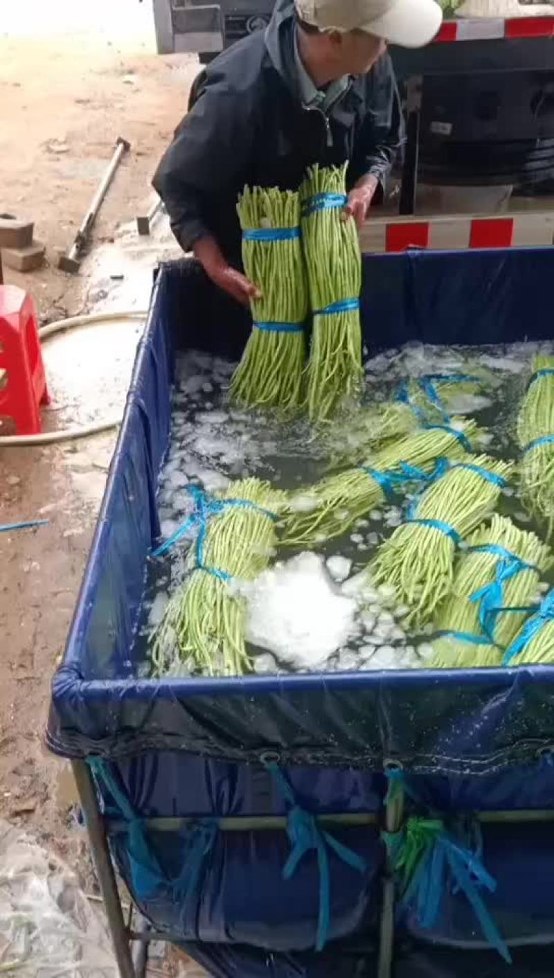 豆角豇豆长豆角