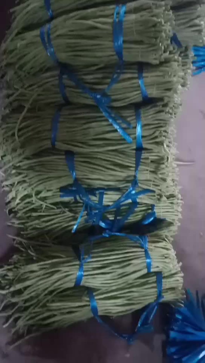 豆角豇豆长豆角