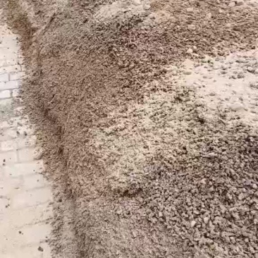 常年出售平菇榆黄蘑出菇菌包