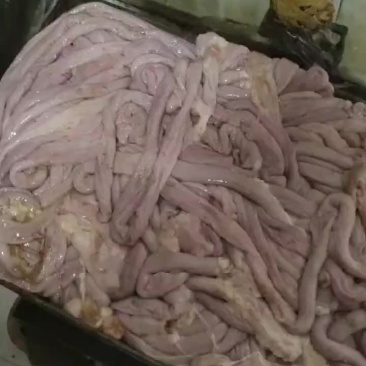 小肠山东提货手续齐全