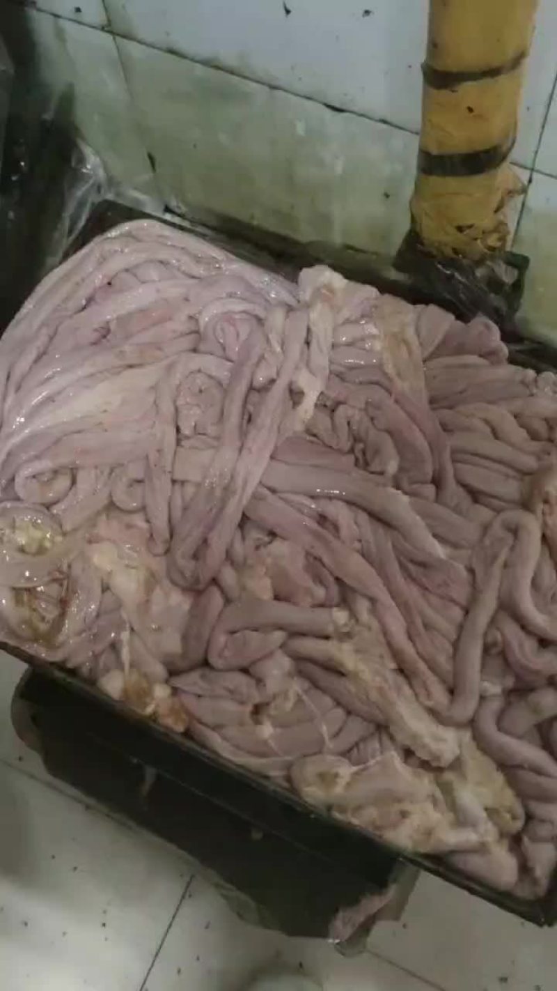 小肠山东提货手续齐全