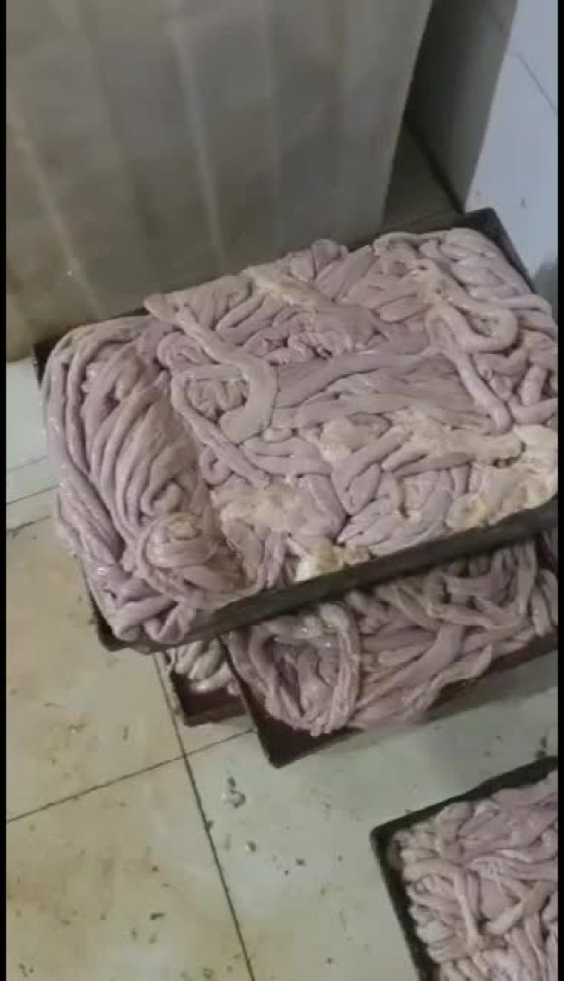 小肠山东提货手续齐全