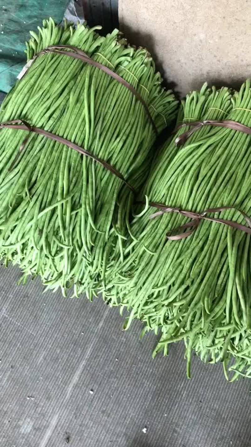 福建精品豆角，全面提升，质量保证，价格便宜，