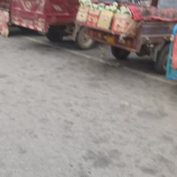甜瓜大量上市