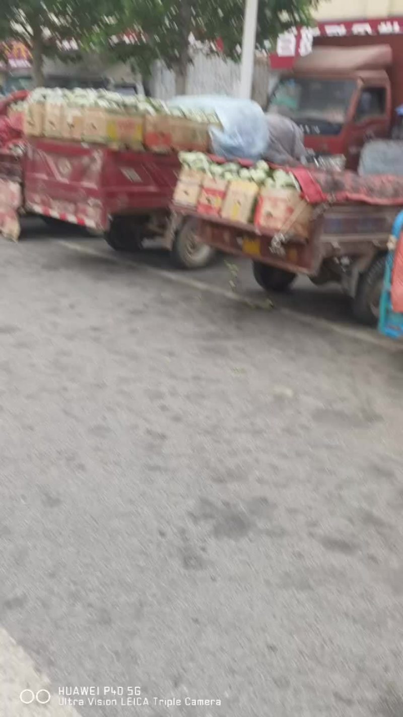 甜瓜大量上市