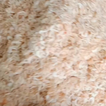 淡干无盐虾皮