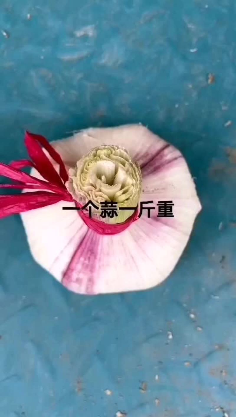 早熟蒜