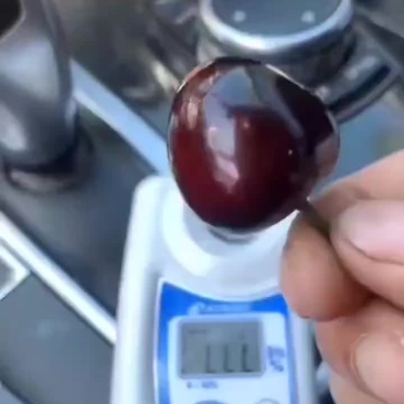 美早大樱桃
