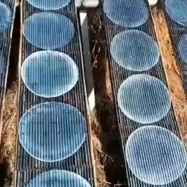 红薯粉皮：传统工艺、绿色天然，不添加任何添加剂！