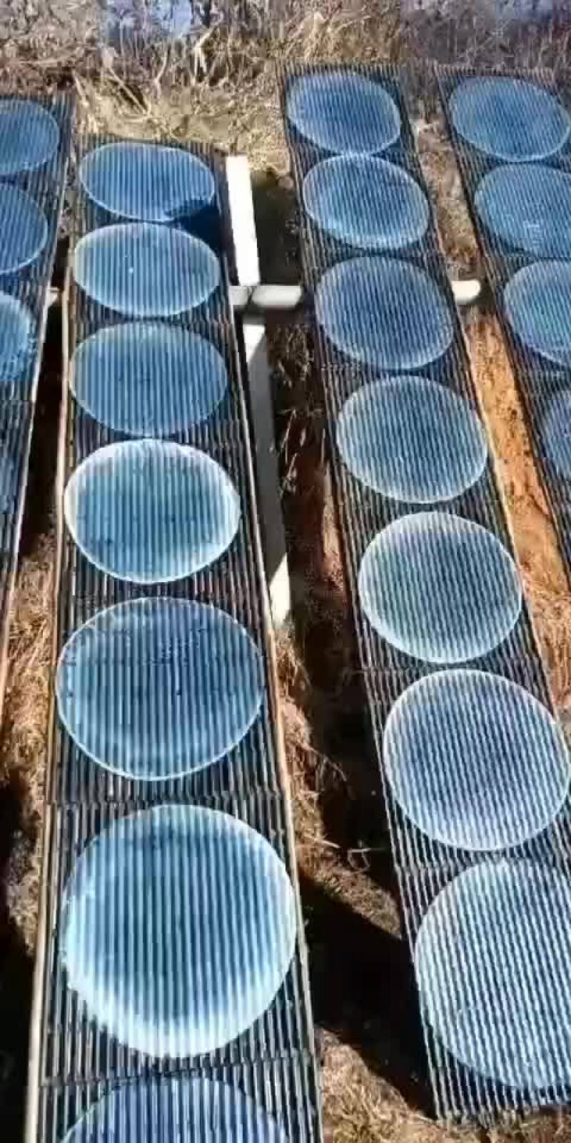 红薯粉皮：传统工艺、绿色天然，不添加任何添加剂！