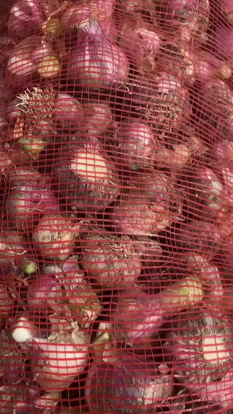 大蒜，上货量大