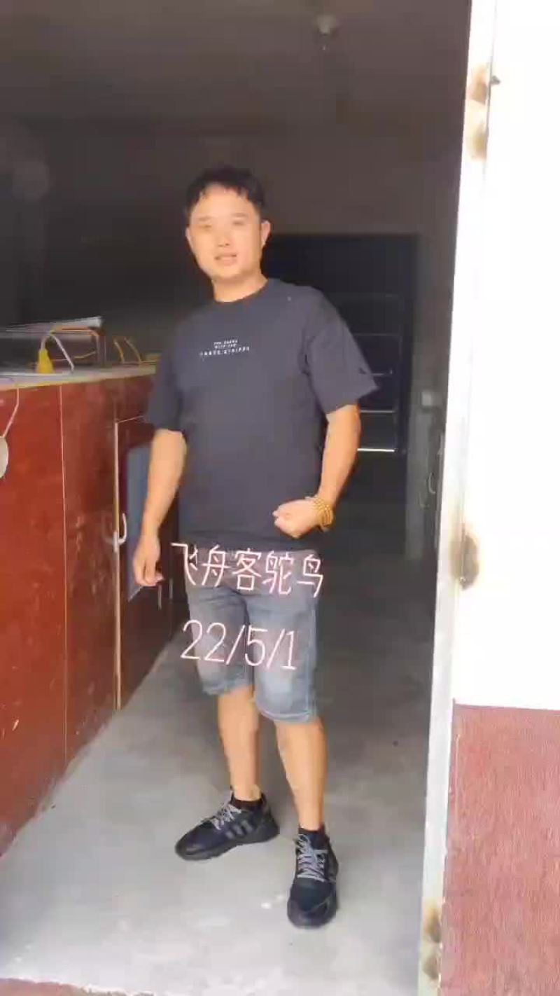 鸵鸟苗，优质鸵鸟苗，，，，，