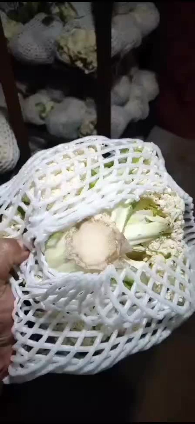 脱水厂养殖场，大量油菜花疫情过后量大便宜，老板联系