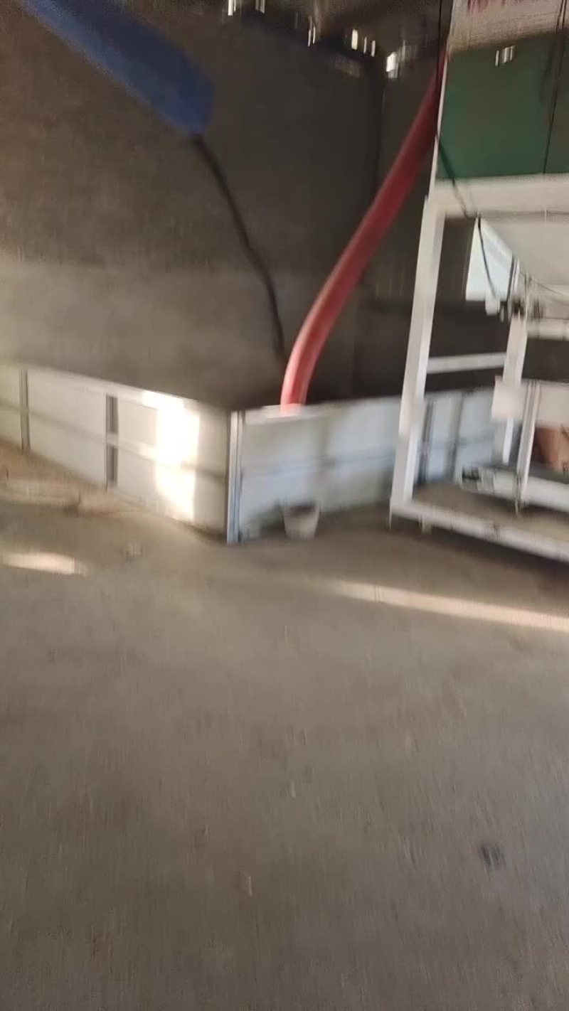 油菜籽