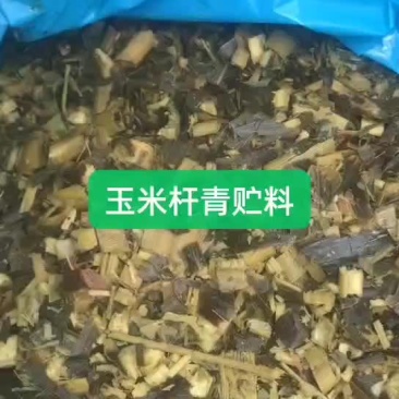 青贮