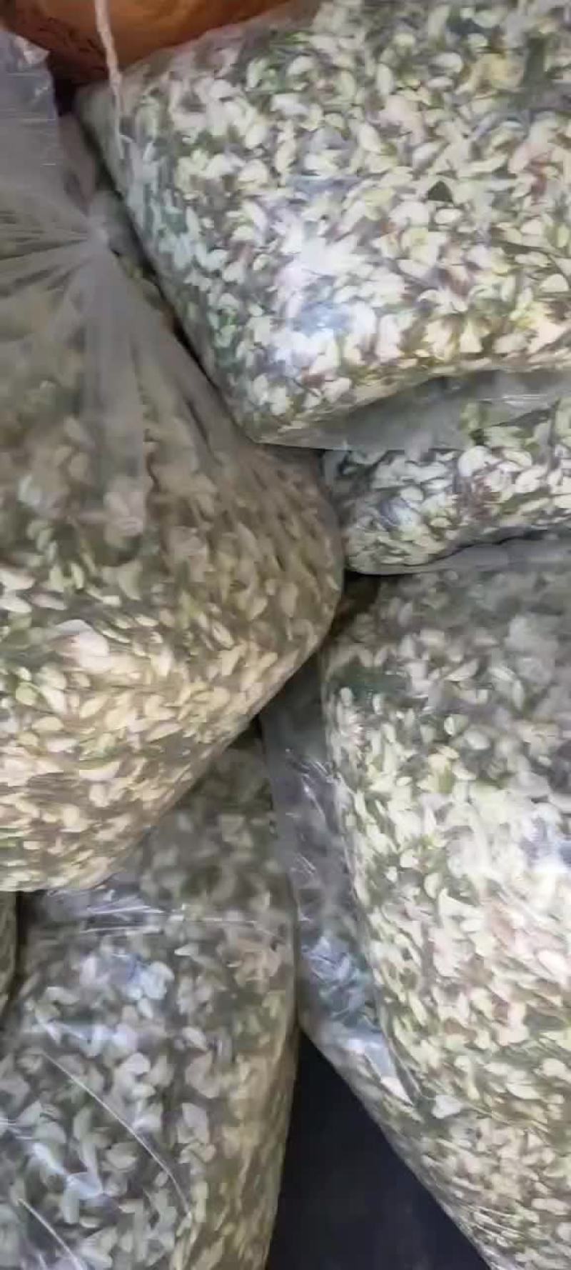 槐花
