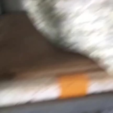 槐花