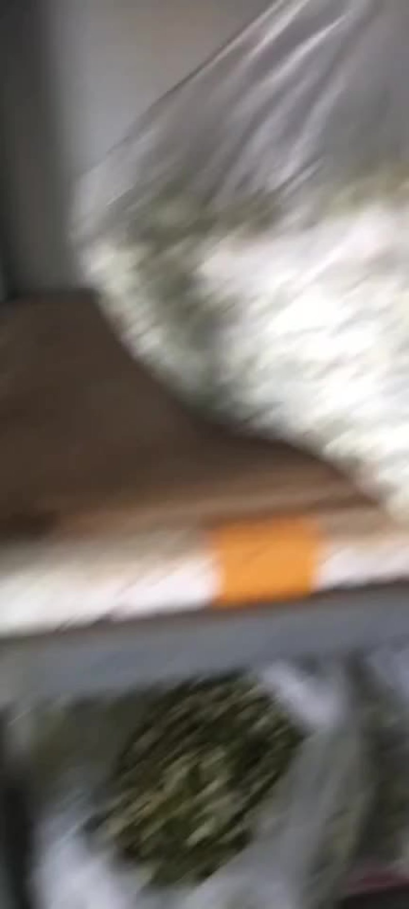 槐花