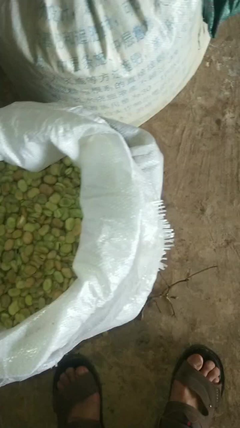 我想卖干蚕豆，有4万多市斤左右
