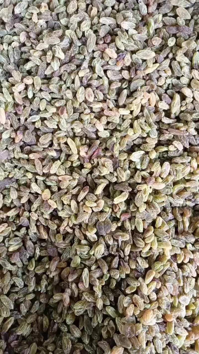 葡萄干五级大降价出货快
