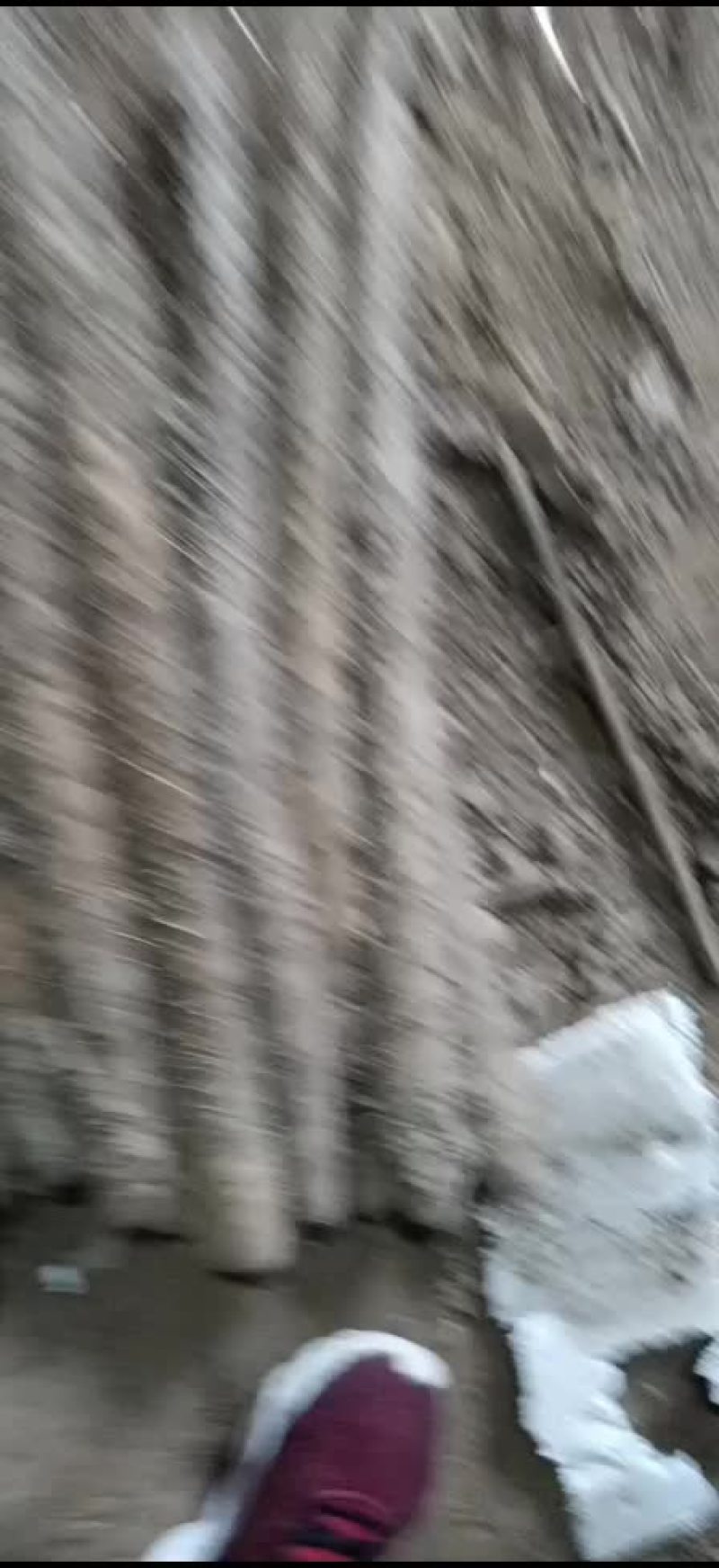山药，麻山药，库存山药，山药，棒药，子药
