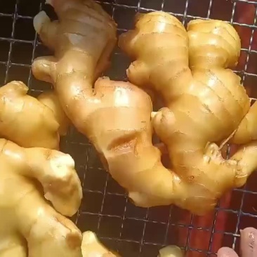 生姜