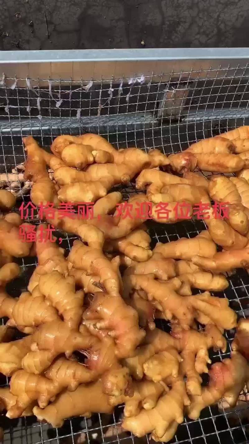 生姜