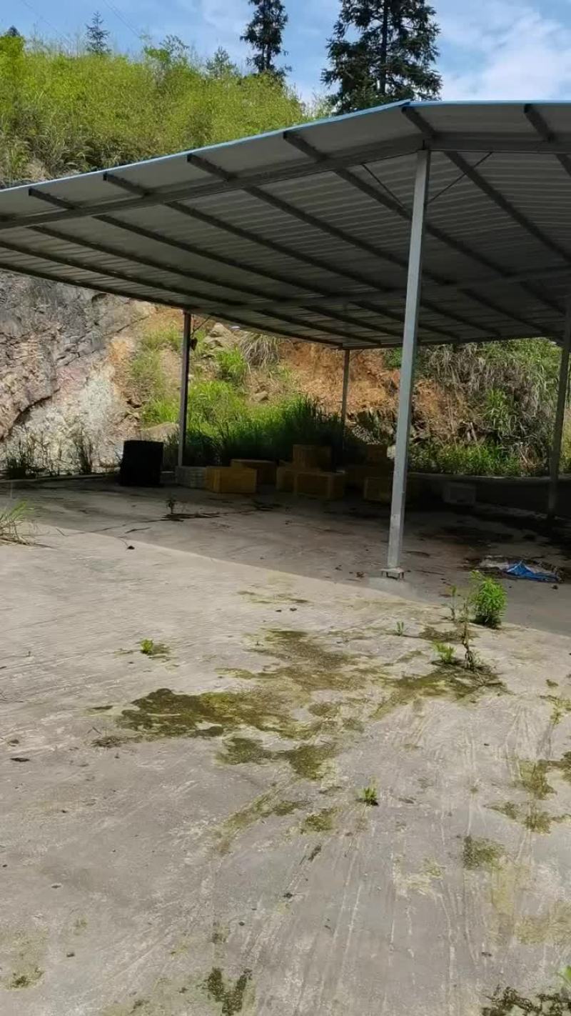 场地岀租/共同开发，入股