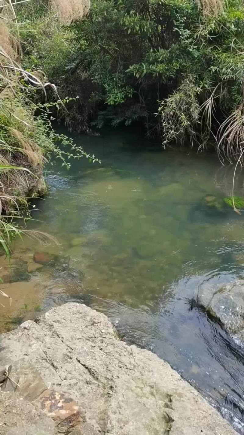 场地岀租/共同开发，入股
