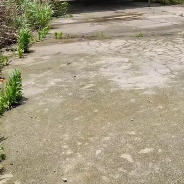 场地岀租/共同开发，入股