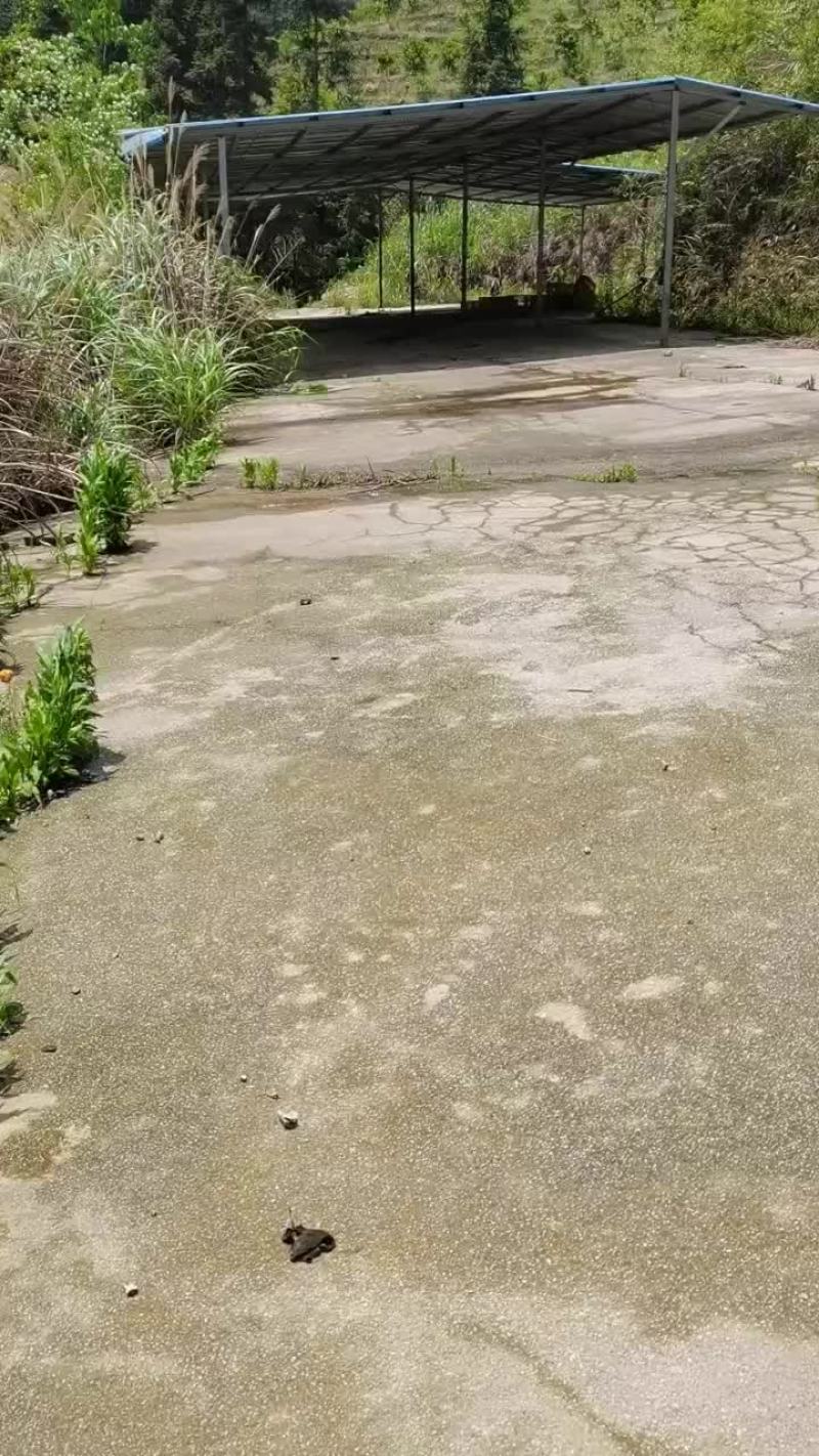 场地岀租/共同开发，入股