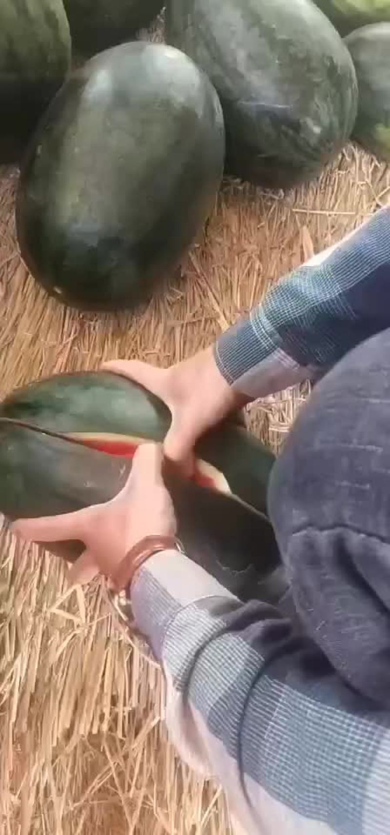 广西崇左西瓜