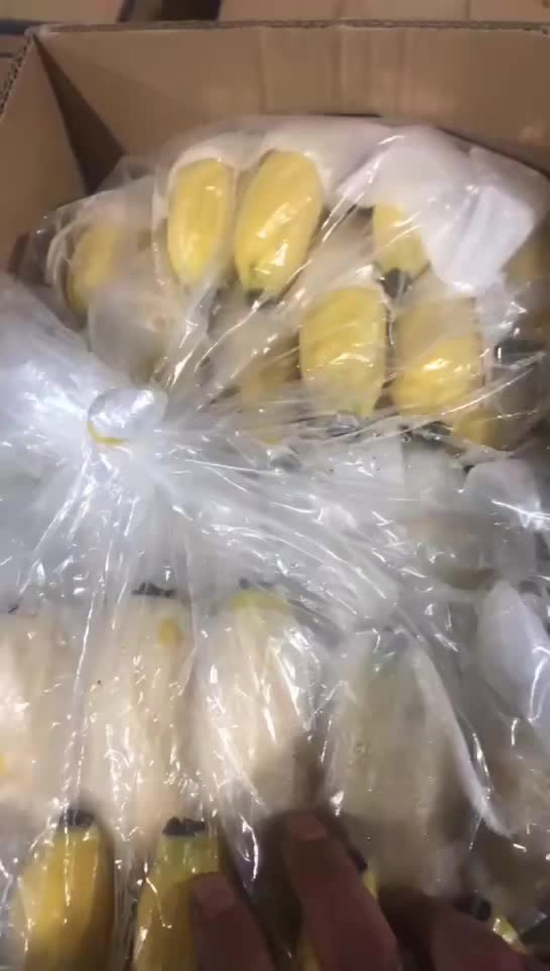 现货700箱，越南9公斤，秒杀，包售后，价格私聊