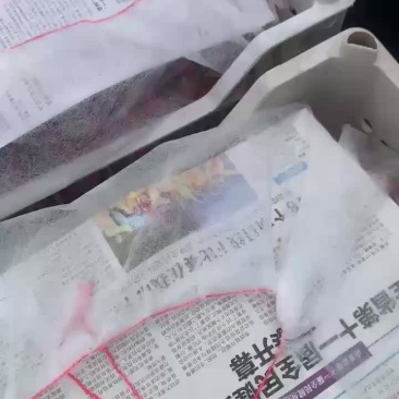 红宝石马上下市。早大果红灯大量上市🍒🍒