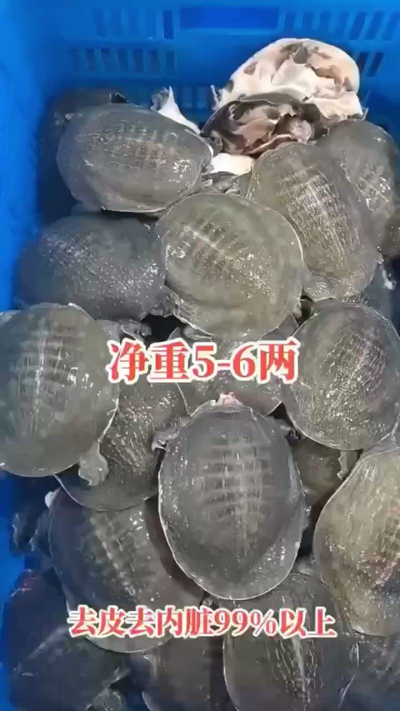 网红麻辣甲鱼的，卤甲鱼大小规格齐全，支持全国发货