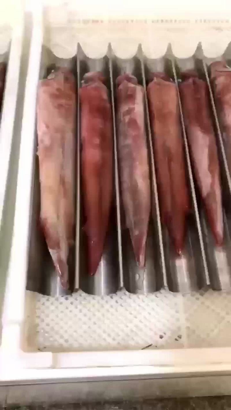 东海深海手钓火箭鱿正鱿口感鲜甜Q弹