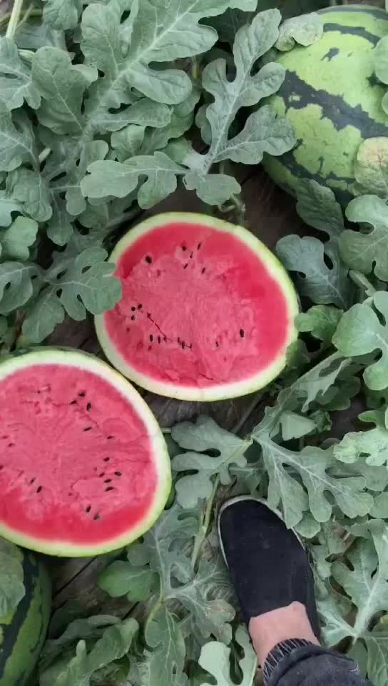 西瓜