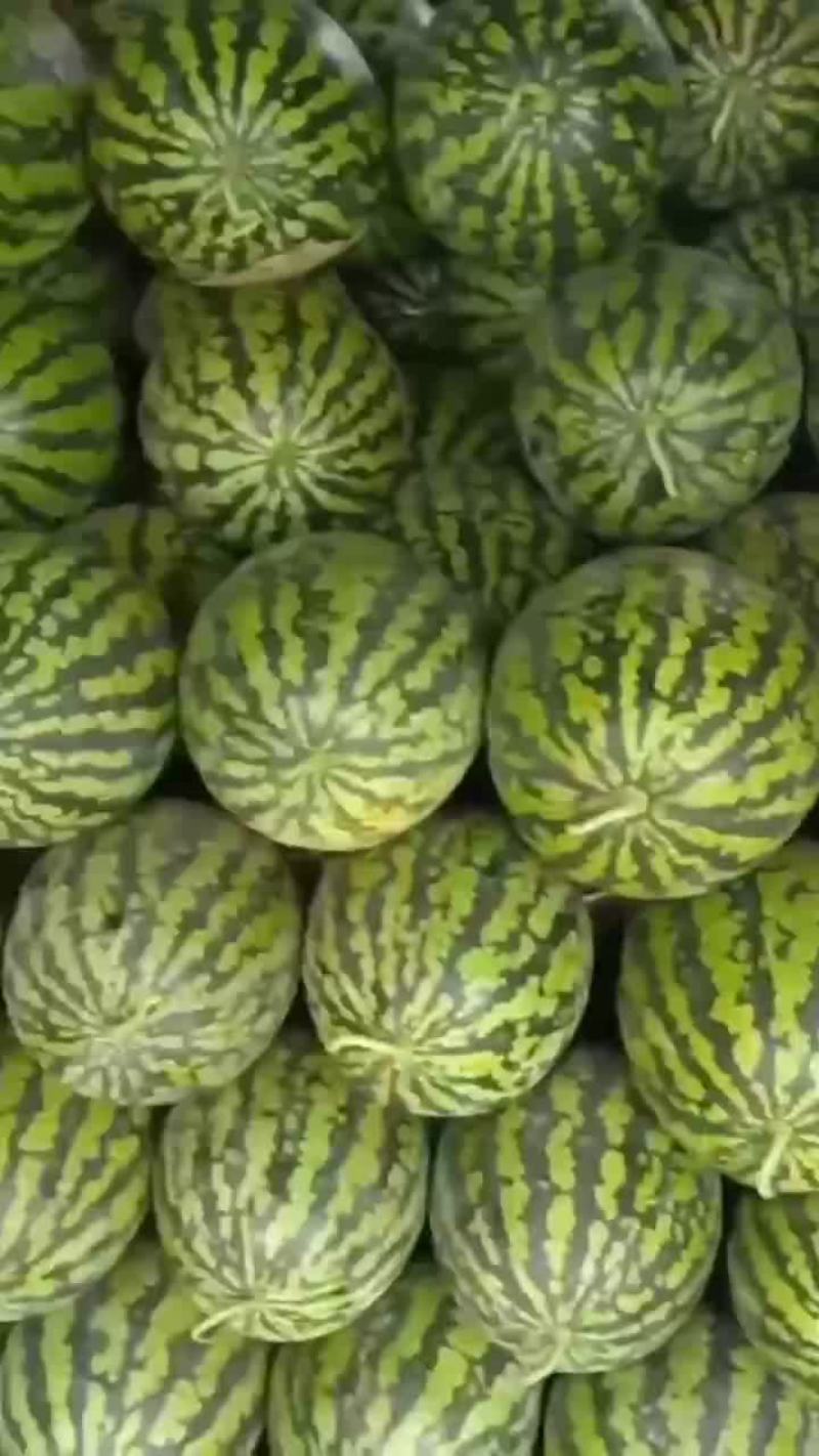 甜王黑美人大量上市中