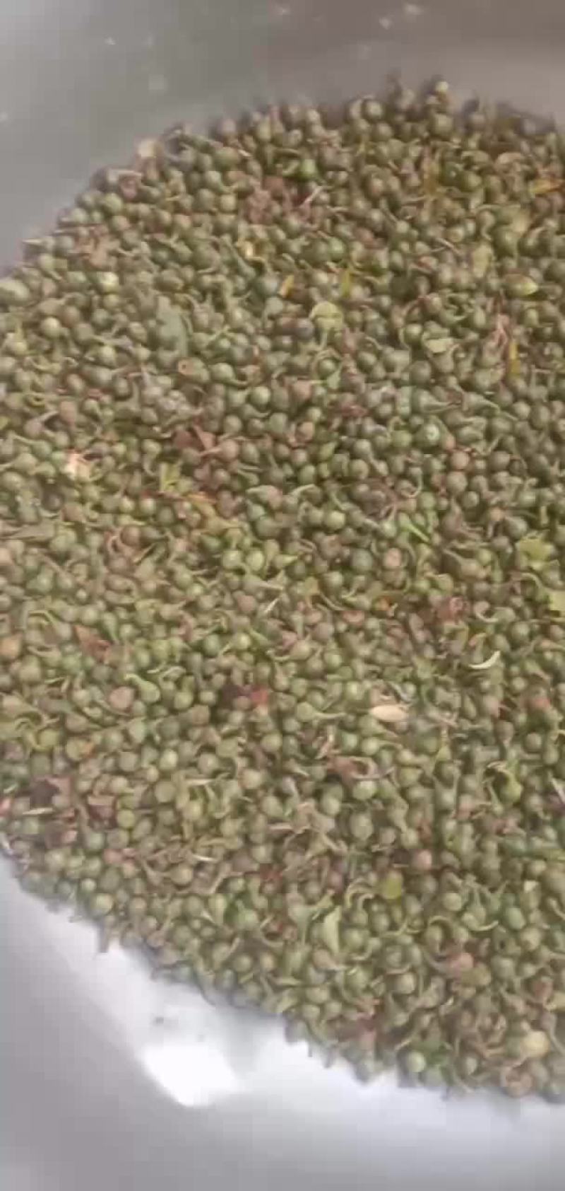 茶叶籽(嫩果)