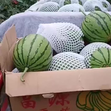 938西瓜