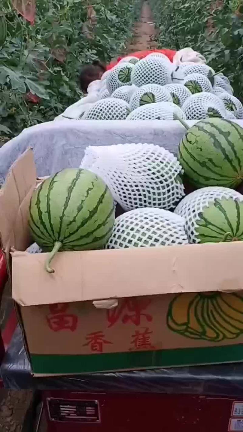 938西瓜