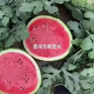 西瓜